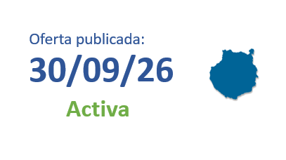 TÉCNICO/A DE MANTENIMIENTO