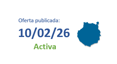 TÉCNICO/A MICROINFORMÁTICO