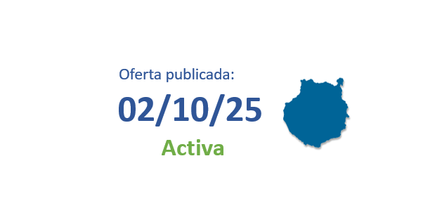 AUXILIAR DE AYUDA A DOMICILIO 